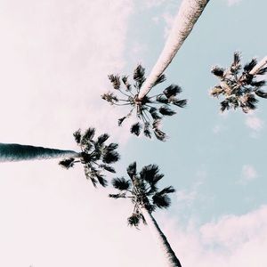 Meet your Posher, Alexa